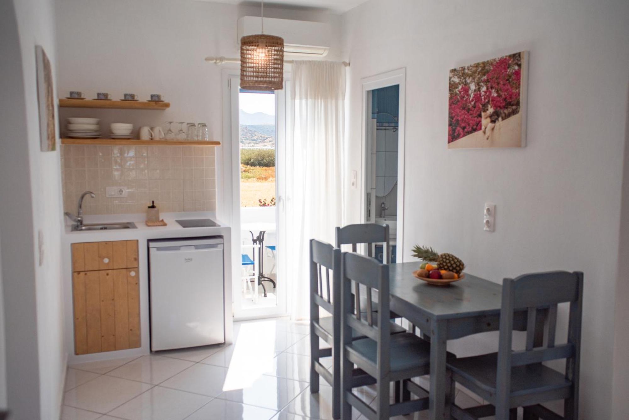 Naxos City Ikaros Studios & Apartments מראה חיצוני תמונה