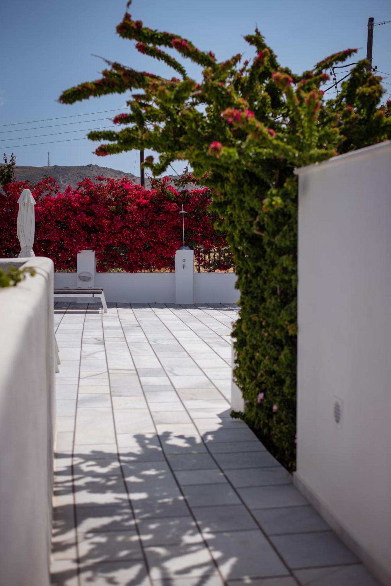 Naxos City Ikaros Studios & Apartments מראה חיצוני תמונה
